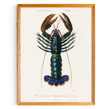 Load image into Gallery viewer, Crimson Crawfish