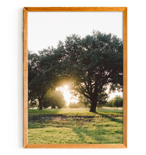 Load image into Gallery viewer, Summer Sunset