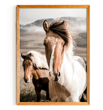 Load image into Gallery viewer, Icelandic Horse