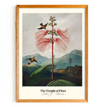 Load image into Gallery viewer, Temple of Flora - Birdy