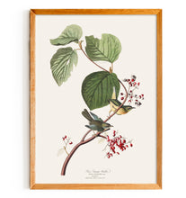 Load image into Gallery viewer, Pine Warbler