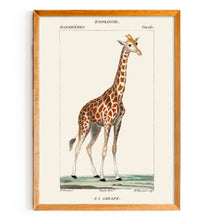 Load image into Gallery viewer, La Girafe