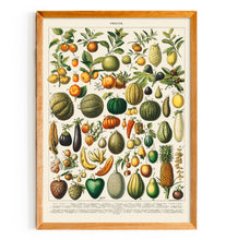 Load image into Gallery viewer, A Variety of Fruits