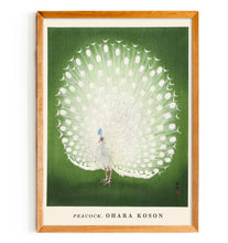 Load image into Gallery viewer, Peacock