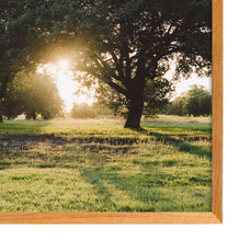 Load image into Gallery viewer, Summer Sunset