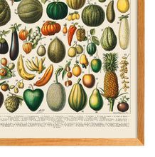 Load image into Gallery viewer, A Variety of Fruits