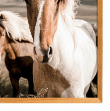 Load image into Gallery viewer, Icelandic Horse
