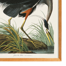 Load image into Gallery viewer, Great Blue Heron