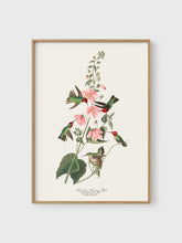 Load image into Gallery viewer, VM08 - Colombian Hummingbird - 50x70 mockup