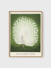 Load image into Gallery viewer, VM33 - Peacock - 50x70 mockup