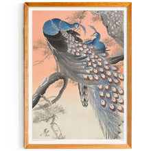 Load image into Gallery viewer, Two Peacocks