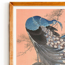 Load image into Gallery viewer, Two Peacocks