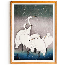 Load image into Gallery viewer, A Group of Egrets