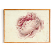 Load image into Gallery viewer, Pink Rose