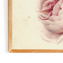 Load image into Gallery viewer, Pink Rose