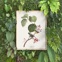 Load image into Gallery viewer, Pine Warbler