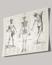 Load image into Gallery viewer, Homme