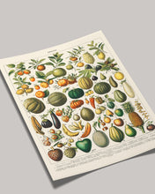 Load image into Gallery viewer, A Variety of Fruits