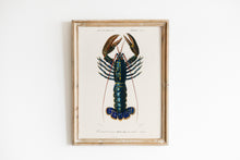 Load image into Gallery viewer, Crimson Crawfish