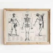 Load image into Gallery viewer, Homme