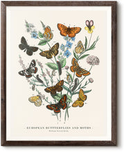 Load image into Gallery viewer, European Butterflies and Moths