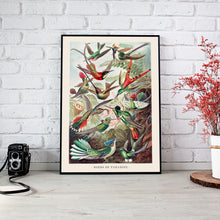 Load image into Gallery viewer, Birds of Paradise