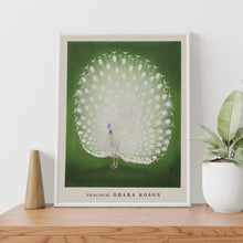 Load image into Gallery viewer, Peacock