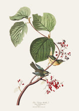 Load image into Gallery viewer, Pine Warbler