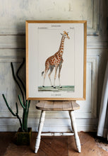 Load image into Gallery viewer, La Girafe