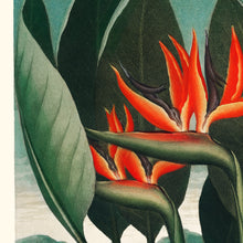 Load image into Gallery viewer, Temple of Flora - Queen