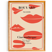 Load image into Gallery viewer, Bouvard