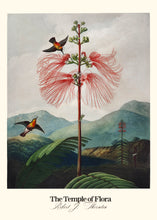 Load image into Gallery viewer, Temple of Flora - Birdy