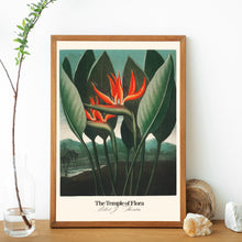 Load image into Gallery viewer, Temple of Flora - Queen