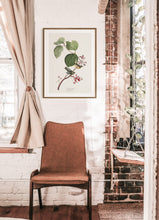 Load image into Gallery viewer, Pine Warbler