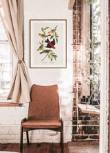 Load image into Gallery viewer, Louisiana Tanager