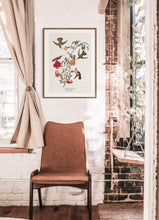 Load image into Gallery viewer, Humming Bird