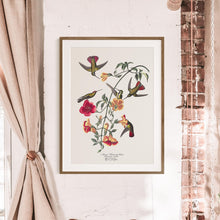 Load image into Gallery viewer, Humming Bird