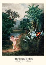 Load image into Gallery viewer, Temple of Flora - Cupid