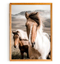 Load image into Gallery viewer, Icelandic Horse
