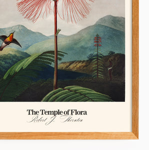 Temple of Flora - Birdy