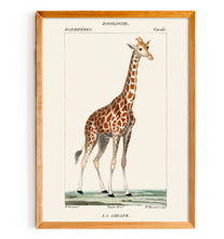 Load image into Gallery viewer, La Girafe
