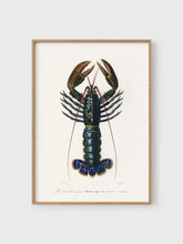 Load image into Gallery viewer, Nr. 2

