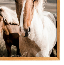 Load image into Gallery viewer, Icelandic Horse
