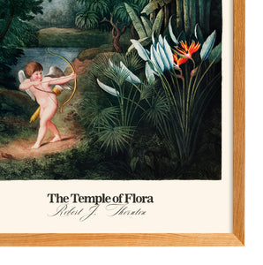Temple of Flora - Cupid