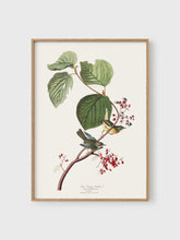 Load image into Gallery viewer, VM12 - Pine Warbler - 50x70 mockup
