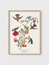 Load image into Gallery viewer, VM10 - Hummingbird - 50x70 mockup
