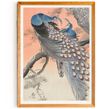 Load image into Gallery viewer, Two Peacocks
