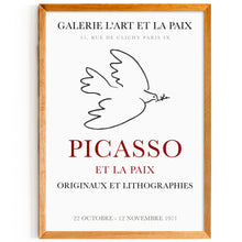 Load image into Gallery viewer, Picasso - Dove
