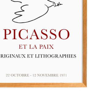 Picasso - Dove