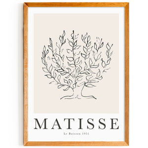 Matisse - Le Buisson